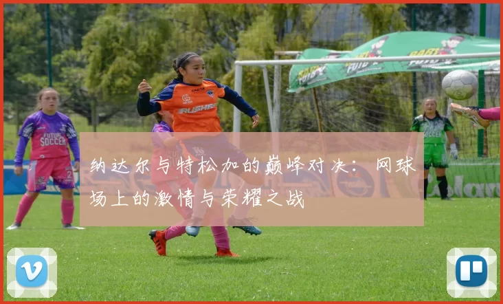 纳达尔与特松加的巅峰对决：网球场上的激情与荣耀之战