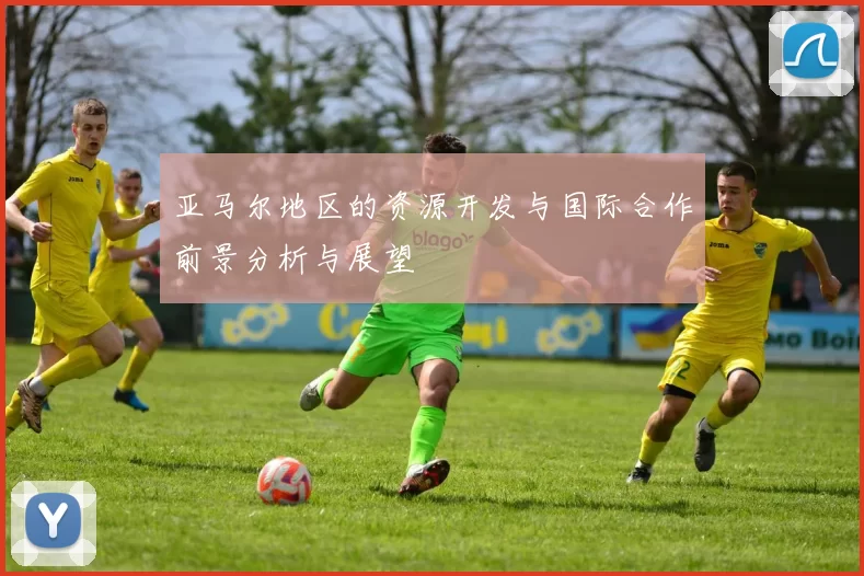 亚马尔地区的资源开发与国际合作前景分析与展望