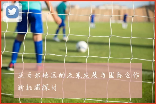 亚马尔地区的未来发展与国际合作新机遇探讨