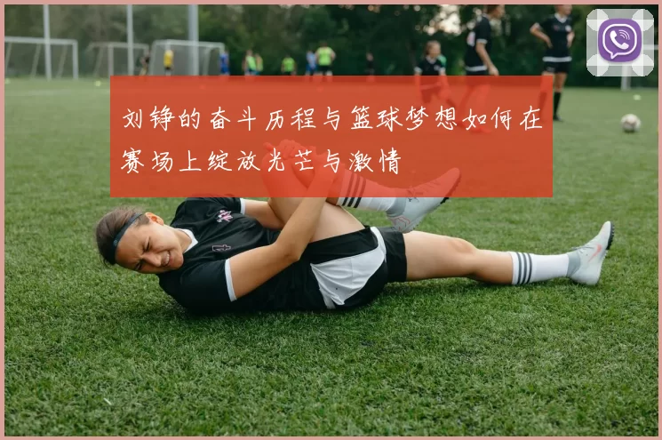 刘铮的奋斗历程与篮球梦想如何在赛场上绽放光芒与激情