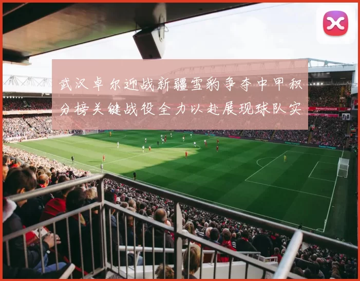 武汉卓尔迎战新疆雪豹争夺中甲积分榜关键战役全力以赴展现球队实力